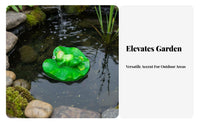 Waterproof Floating Frog Statue Weatherproof Floating Frog Figurine Long-Lasting Lifelike Details for Fountain, Swimming Pool, Aquatic Aquarium