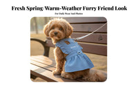 Ruffled Straps Denim Dog Dress with Leash Lightweight Material Denim Dog Dress Breathable for Young Dogs, Cats, Walking, Outdoor