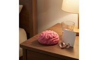 Raised Grooves Brain Squishy Toy Pink Brain Stress Ball Slow Rising Anatomy Stress Ball Handheld