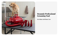 High Quick Dog Dryer Fast Dehydrating High Quick Pet Dryer Adjustable Temperature Dog Blower