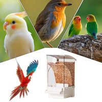 Husk Separating Automatic Bird Feeder Easy to Clean No-Mess Bird Feeder Large Capacity No Mess Container Transparent Design for Indoor, Vacation
