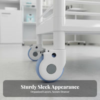 Beauty Salon Service Cart Locking Wheels Beauty Salon Trolley Sturdy Material Instrument Storage Trolley for Beauticians, Oral Health Facility