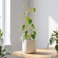 Decorative Leaf-Shaped Trellis Stylish Climbing Plant Trellis Wire Climbing Plant Support Sturdy for Indoor Gardeners, Potted Plants, Shelf Displays