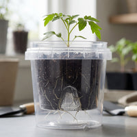 Transparent Orchid Pot with Ventilation, Root Control, and Outer Pot for Seedling Cultivation