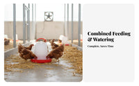 Automatic Fowl Waterer Easy to Clean Fowl Feed Bucket Automatic Chicken Waterer for Farmers, Backyard