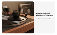 Record Weight Stabilizer Entry-Level LP Record Weight Vibration Damping LP Disc Stabilizer for Beginners