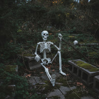 Spooky Plastic Skeleton Decorative Skeleton Prop Scary Decorations Realistic for Halloween, Haunted House, Party