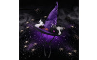 Flower Accent Feline Ear Witch Hat Cosplay Arachnid Charm Witch Hat Sturdy Costume Accessory Soft for Performance