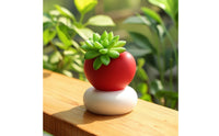 Decorative Heart-Shaped Planter Compact Heart-Shaped Flower Pot Low-Height Tabletop Planter with Base Matte for Minimalists