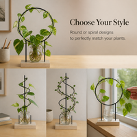 Iron Art Hydroponic Plant Climbing Trellis with Wooden Base, Round/Spiral Desktop Support for Potted Plants