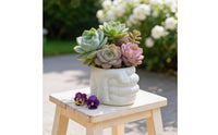Sculptural Fist-Shaped Planter Compact Fist Planter Unique Flowerpot Modern for Desk, Shelf