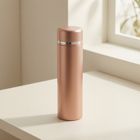 316 Stainless Steel Smart Temperature Display Thermos with Tea Infuser for Car and Business