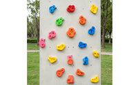 10 Pieces Climbing Holds with Mounting Hardware Colorful Rock Climbing Holds with Hardware Varied Color Wall Grips Wall Grips for Young Children