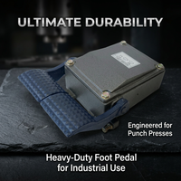 Heavy Duty Cast Iron Foot Pedal Switch -02, Industrial Foot Switch with 250V 15A, Foot Operated Power Switch for Control Equipment
