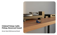 Vinyl Cartridge Excellent Channel Separation Clear Soundstage for Hi Fi