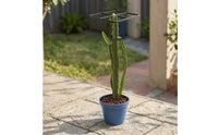 Metal Plant Trellis Tall Trellis with Grid Top Vertical for Gardeners, Flowerpot, Balcony, Greenhouse