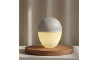 Ambient Sound Machine with Night Light Soothing Sound Machine with Night Light Electronics Rechargeable Wireless for Adults