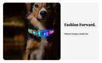 High Visibility LED Pet Collar Multiple Flash Modes Light up Pet Collar Adjustable