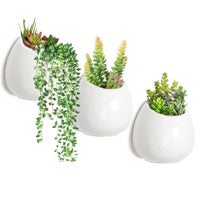 Garden Decor Ceramic Wall Planter for Home Office, Set of 3 Indoor Plant Pot Wall Hanging, Water Saving Hanging Planter, Office Decor Pieces