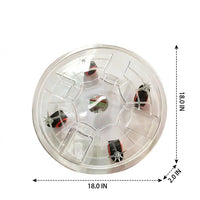 Plant Stand with Wheels, Large Transparent Resin Round Tray Pot Stand, Floor Standing Simple Style for Easy Moving Indoor and Outdoor Plants