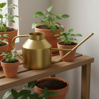 Stainless Steel Watering Can Rust Resistant Garden Supply Easy to Pour
