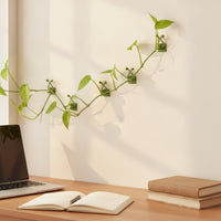 10 Pieces No-Drill Climbing Plant Wall Clip with Adhesive Back Easy to Use Wall Plant Clip with Adhesive Back Space-Saving Discreet for Renters, Indoor Garden, Apartment Balcony
