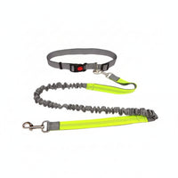 Woven Strap Pet Collar Leash Kit for Walking