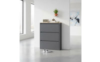Large Capacity Slim Tip-out Shoe Cabinet Steel Construction Narrow Entryway Shoe Rack Breathable Household Furniture for Hallway