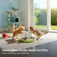 Cat Slow Feeder Bowl Mental Stimulation Interactive Cat Brain-Teaser Feeder
