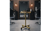 Mobile Tool Stand Stable Base Hair Stylist Tray Stand Adjustable Rolling Salon Tray for Barbers, Estheticians