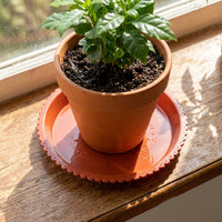 Plant Trays with Built-in Drip Tray, Heavy Duty Pot Saucers, Essential for Outdoor Plants and Base Control, Indoor Accessories