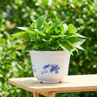 Large Plant Pot with Saucer, Heavy resilient Pots for Outdoor Use, Floor Standing Indoor Planter Large Size Plant Pots Set