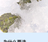 乌龟冬眠盒吸水树脂套装爬宠饲养箱过冬巴西龟专用饲养箱过冬爬宠