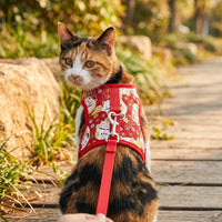 Cat Vest Harness and Leash Set for Walking, Polyester Harness Leash for Outdoor Gear, Non-Retractable Cat Walking Harness, Red, Size M/L