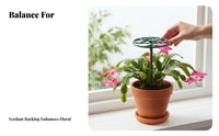 Round-top Shaping Tool Peacock-Tail Plant Frame Prevents Drooping aviary-inspiredand design Plant Holder holders Climbing Plants Gardening Supply Grow-Through holder for Gardeners, Hobbyists, Homeowners, Balcony, Indoors, Garden, Holiday Decorating