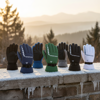 Unisex Winter Ski Gloves, Waterproof Windproof Thermal Gloves for Outdoor Cycling and Sports
