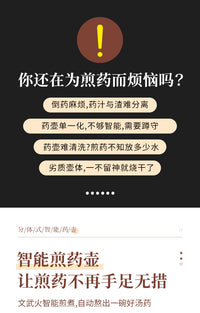 110v全自动煎药壶小家电出口日本美国加拿大多功能养生锅砂熬药锅