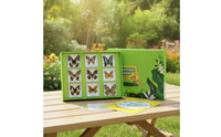 Educational Sample Display Kit Embedded Nature Learning Kit Hands-on Science Sample Set with Storage Box Natural for Students