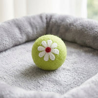 pet toy balls