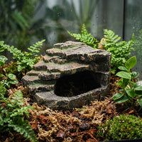 Realistic Rock Aquarium Cave and Turtle Basking Perch, Resin Hollow Hideout House for Turtles, Textured Climbing Surface and Hiding Cave