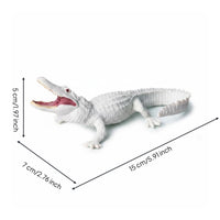 Hand-Painted Crocodile Model Reptile Growth Cycle Toy for Classroom