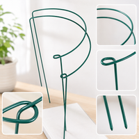 Iron Art Half-Round Plant Support Stakes for Climbing Plants, Orchids, Hydrangeas, and Roses