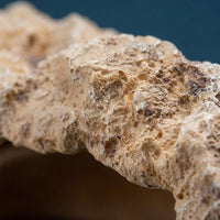 Aquarium Rocks and Aquarium Cave, Realistic Reptile Hide for Geckos and Snakes, Stable Reptile Hide Resin Rock Decor for Desert Terrariums