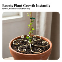 2 Pieces Reusable Anti-Tipping Plant Holder Wrought Iron Design Metal Flower Support Frame Decorative Design for Potted Plants