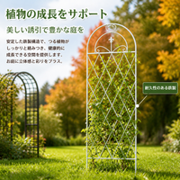 Iron Garden Arch, White, Trellis for Climbing Plants, Roses, Clematis, Support, Garden, Design, 171-200cm