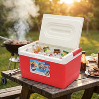 Lunch Box and Gift Box for Camping Picnic, Insulated Cool Bag with Swing Handle, Portable Cool Box for Picnic Beach, 5L Capacity Ice Bucket