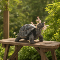 Turtle Figurine Naturalistic Turtle Statue Rustic Tortoise Figurine for Gardeners, Garden, Pond, Patio