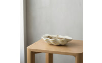 Clam Shell Bowl Sculptural Shell Tray Decorative Dish for Coffee Table