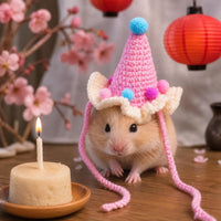 Pet Knitted Birthday Hat for Cats and Small Dogs, Cute Festival Photo Prop