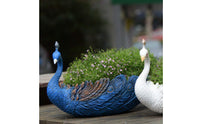 Embossed Feather Pattern Peacock Planter Raised Crest Peacock Flower Pot Curved Neck Decorative Planter Display for Home, Garden, Courtyard